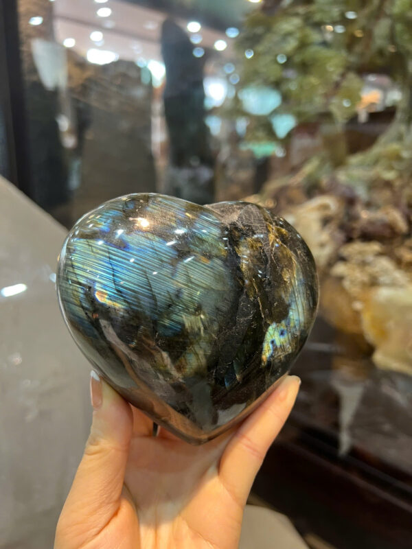 Trái tim hắc nguyệt quang - Hình ảnh 3