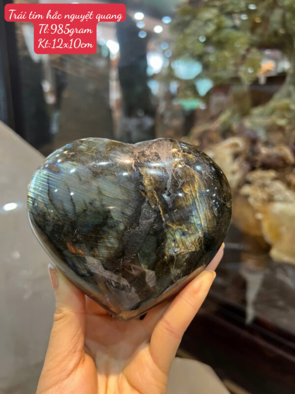 Trái tim hắc nguyệt quang