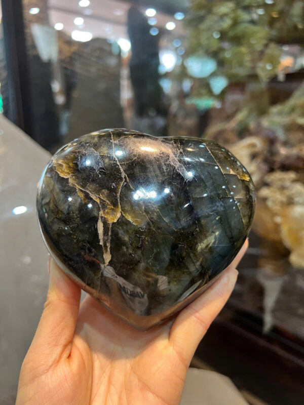 Trái tim hắc nguyệt quang - Hình ảnh 5