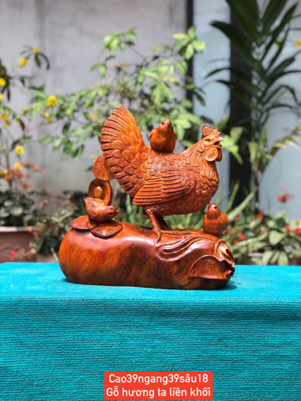 Gà mái gỗ hương ta