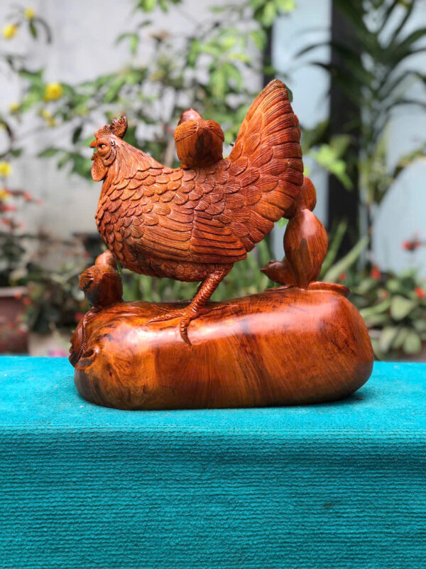 Gà mái gỗ hương ta - Hình ảnh 5