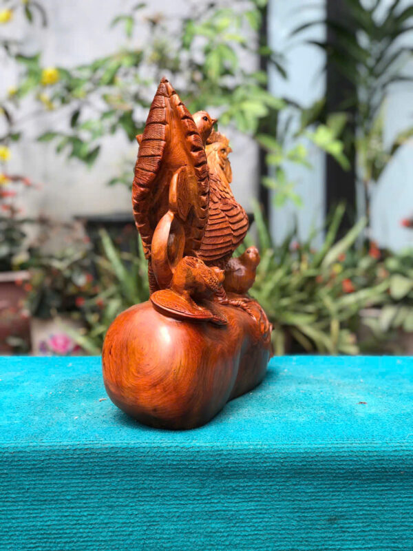 Gà mái gỗ hương ta - Hình ảnh 6