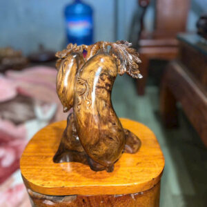 Bầu bí gỗ bách xanh mộc châu