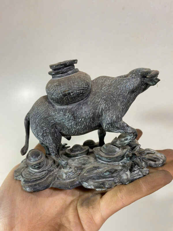 TRÂU  CÕNG  BAO  TIỀN - Hình ảnh 7