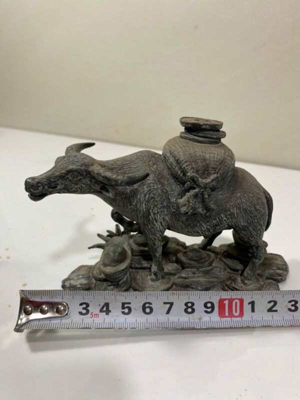 TRÂU  CÕNG  BAO  TIỀN - Hình ảnh 8