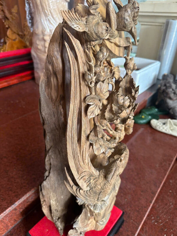 Gia đình chim trĩ uyên ương - Hình ảnh 5