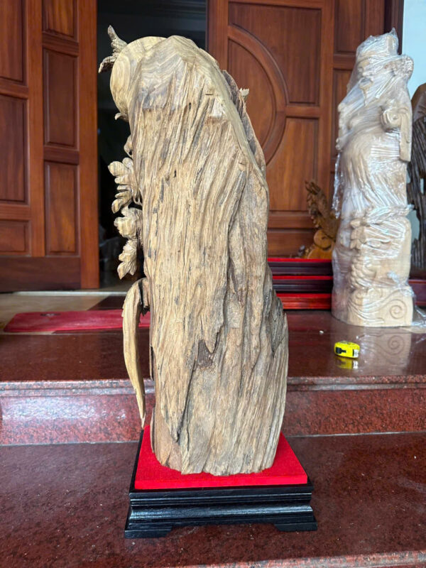 Gia đình chim trĩ uyên ương - Hình ảnh 6