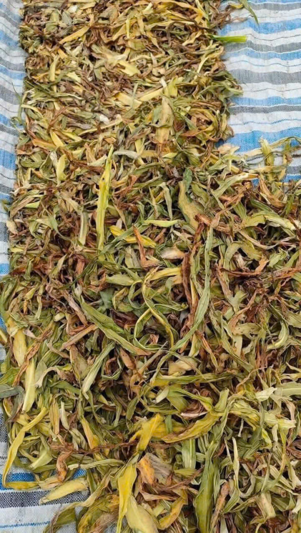 TRINH NỮ HOÀNG CUNG KHÔ - Hình ảnh 3