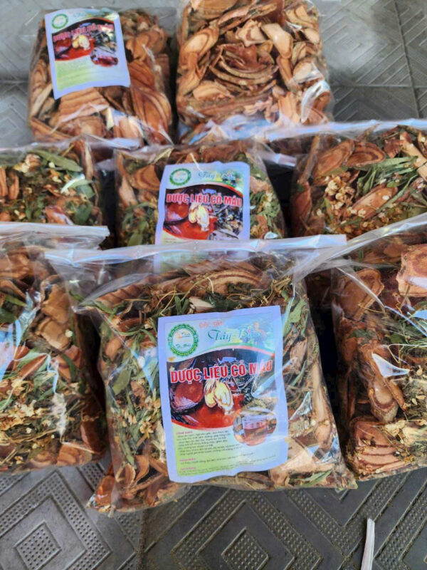 CÂY CỎ MÁU