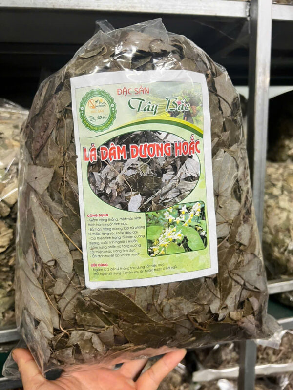 LÁ DÂM DƯƠNG HOẮC - Hình ảnh 4