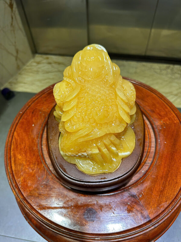 Thiềm thừ tài lộc - Hình ảnh 4