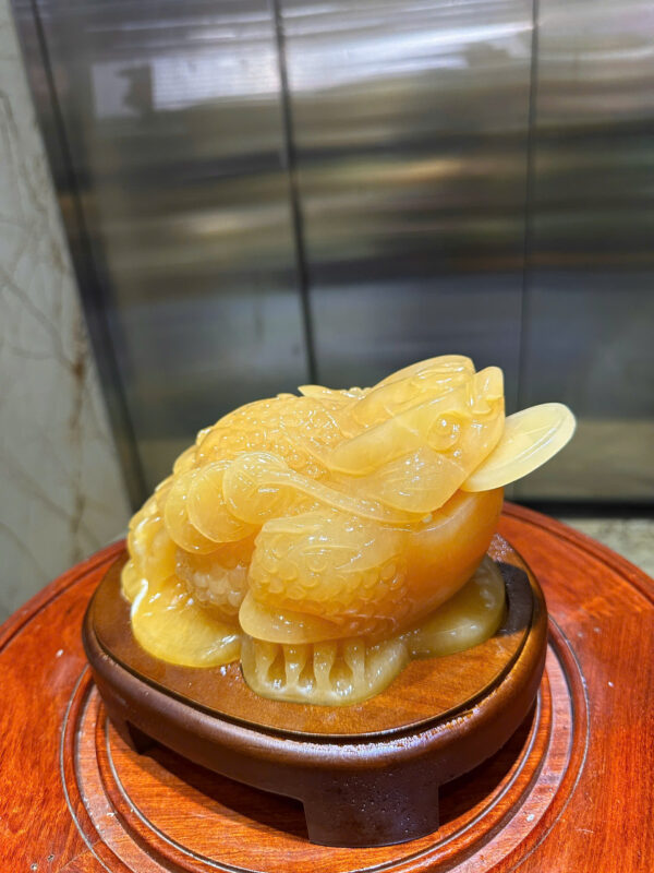 Thiềm thừ tài lộc - Hình ảnh 5