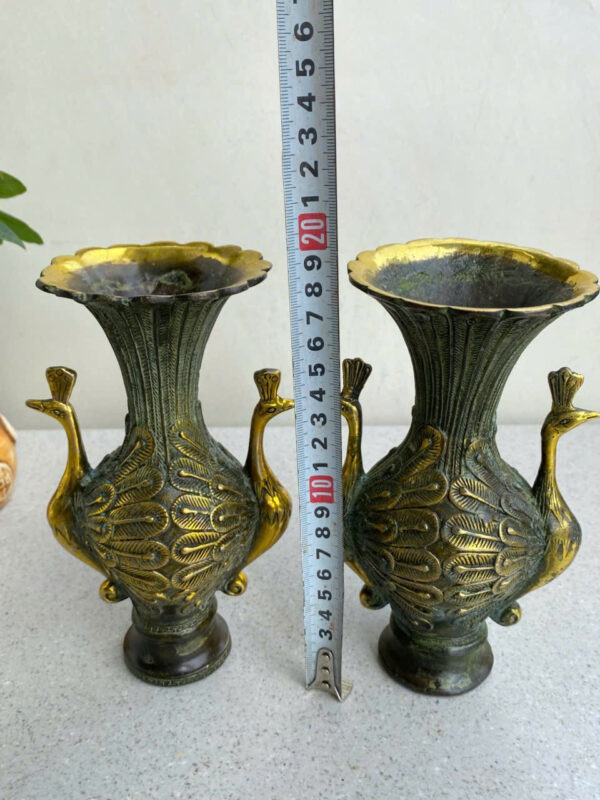 CẶP BÌNH CH-IM C-ÔNG HAI Đ-ẦU - Hình ảnh 4