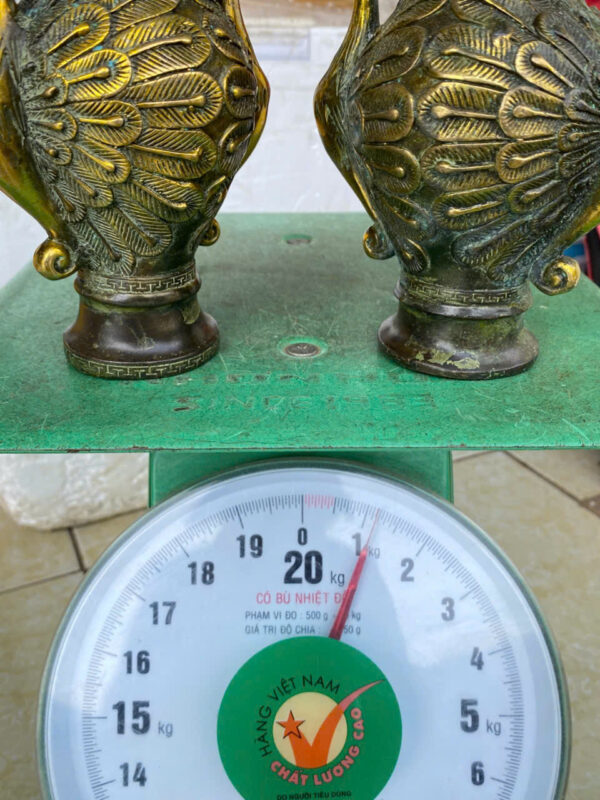 CẶP BÌNH CH-IM C-ÔNG HAI Đ-ẦU - Hình ảnh 5