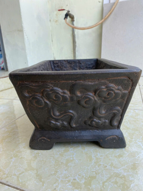 CHẬU ĐÁ CŨ TRỒNG CÂY - Hình ảnh 2