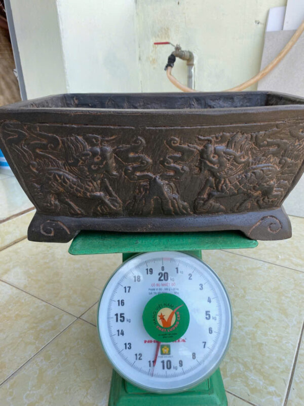 CHẬU ĐÁ CŨ TRỒNG CÂY - Hình ảnh 8