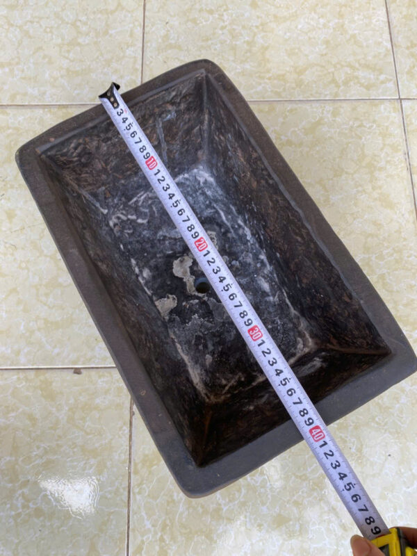 CHẬU ĐÁ CŨ TRỒNG CÂY - Hình ảnh 9