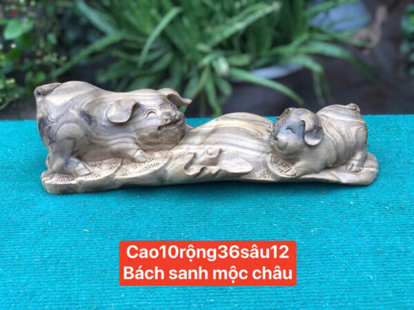 Heo gỗ bách xanh - Hình ảnh 2