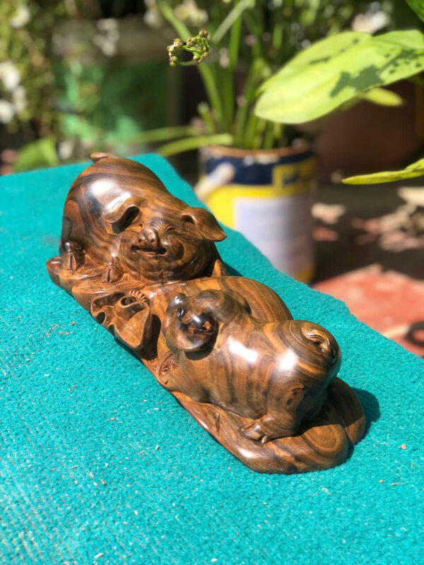 Heo gỗ bách xanh - Hình ảnh 5