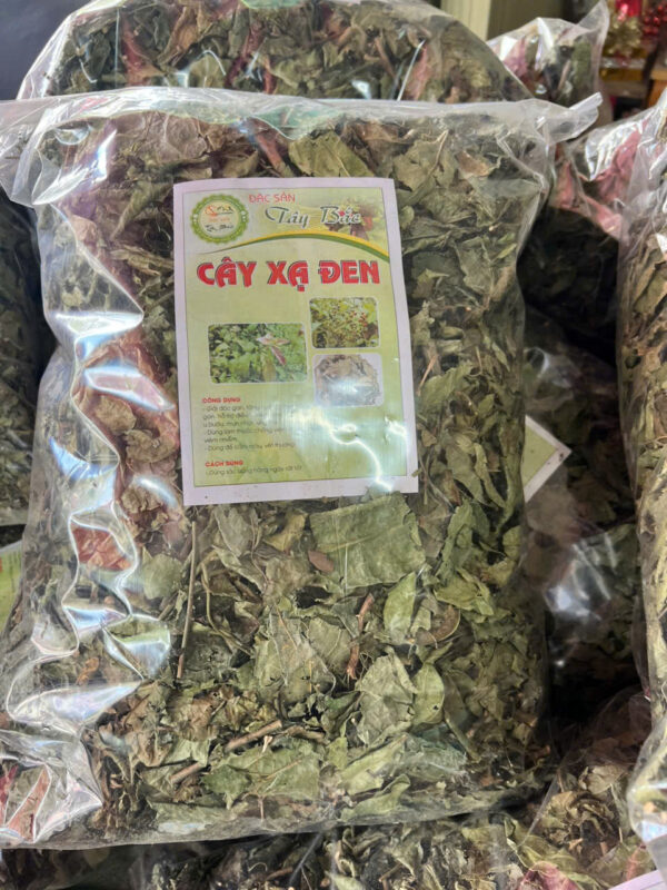cây xạ đen