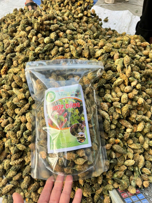 MƯỚP ĐẮNG RỪNG LAI CHÂU - Hình ảnh 3