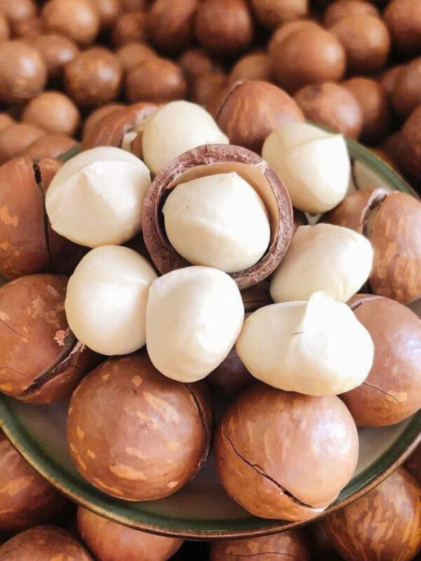 MACCA SẤY NỨT KHÔ - Hình ảnh 3