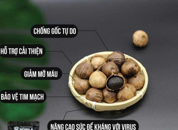 TỎI ĐEN CÔ ĐƠN - Hình ảnh 4