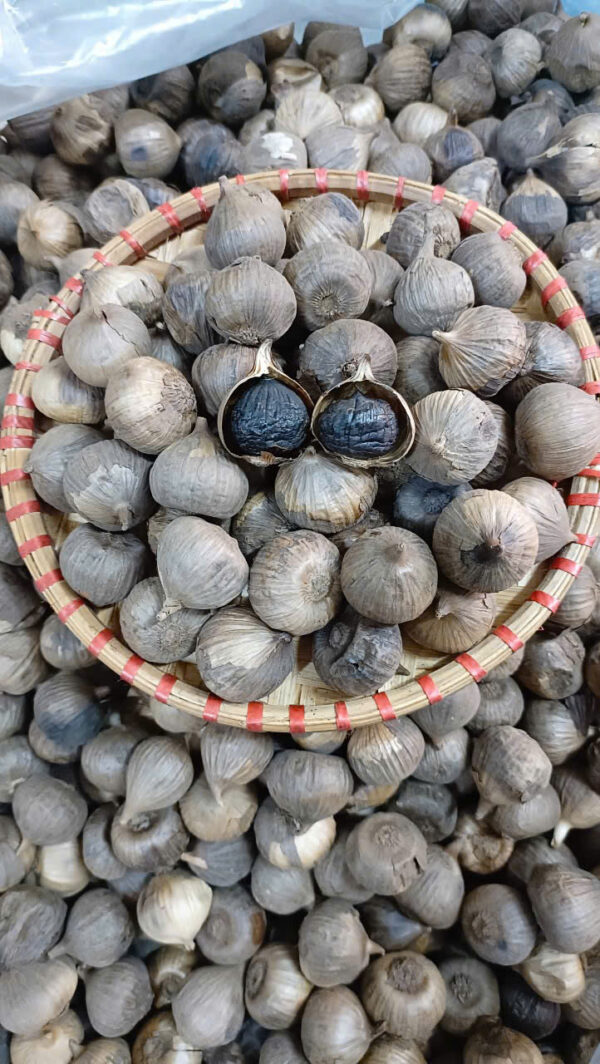 TỎI ĐEN CÔ ĐƠN - Hình ảnh 5