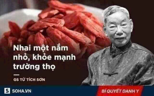KỲ TỬ ĐỎ - HẠT TRƯỜNG THỌ - Hình ảnh 9