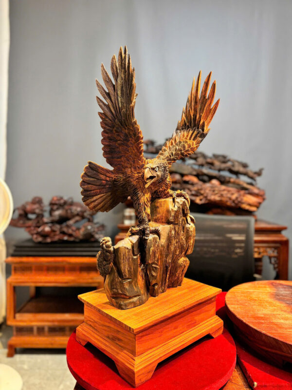 chim đại bàng - Hình ảnh 2