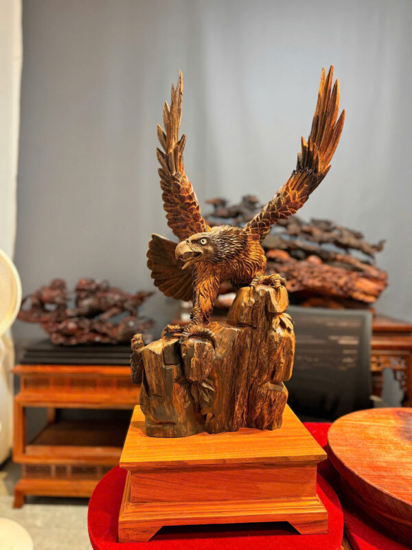 chim đại bàng
