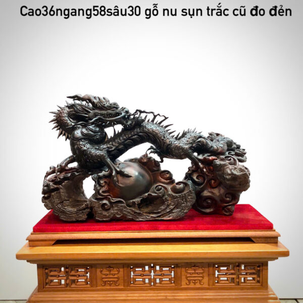Nhất long vờn ngọc - Hình ảnh 5