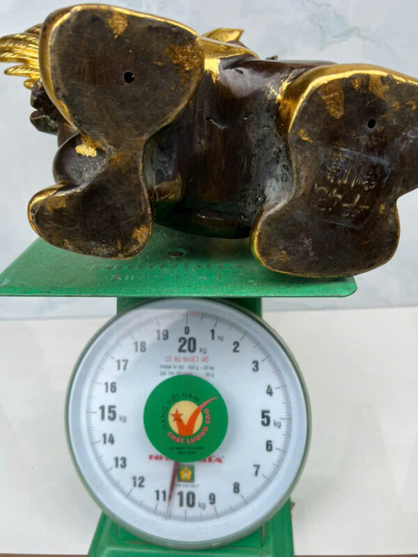 SIÊU  PHẨM ĐẠI  BÀNG  DÁT  VÀNG - Hình ảnh 6