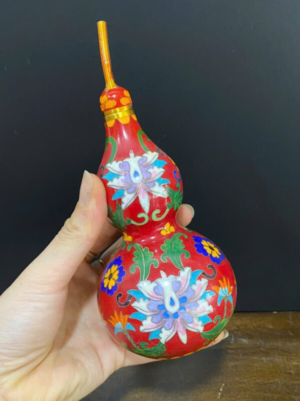 HỒ LÔ ĐỒNG PHÁP  LAM - Hình ảnh 8