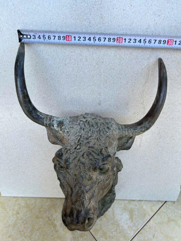 DIỆN  TRÂU  TREO  TƯỜNG - Hình ảnh 5