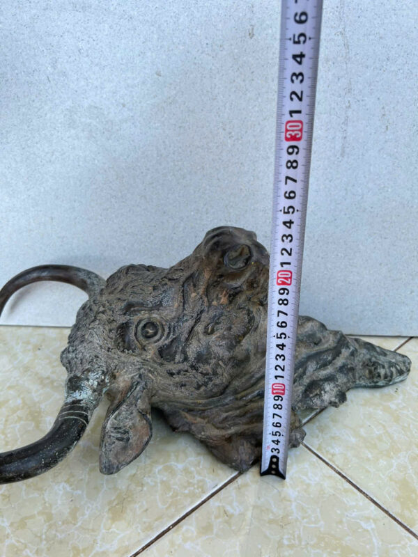 DIỆN  TRÂU  TREO  TƯỜNG - Hình ảnh 6