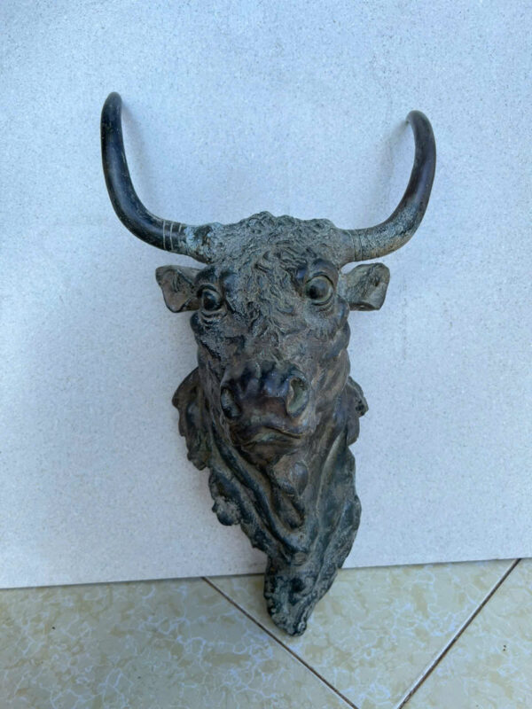 DIỆN  TRÂU  TREO  TƯỜNG - Hình ảnh 10