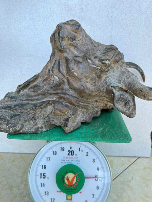 DIỆN  TRÂU  TREO  TƯỜNG - Hình ảnh 9