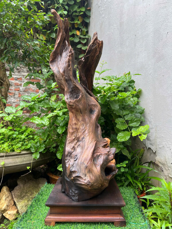 Cụ đạt ma sư tổ - Hình ảnh 6