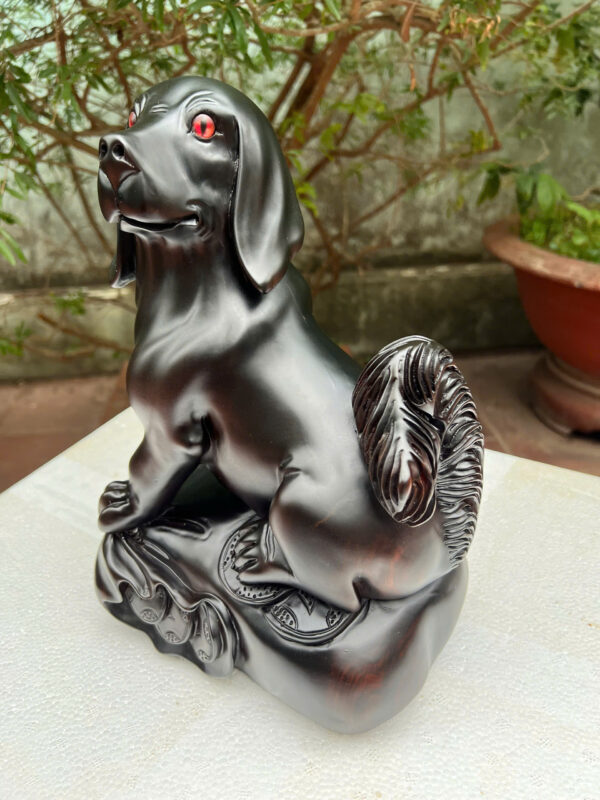 Cún ngồi bao tiền - Hình ảnh 4