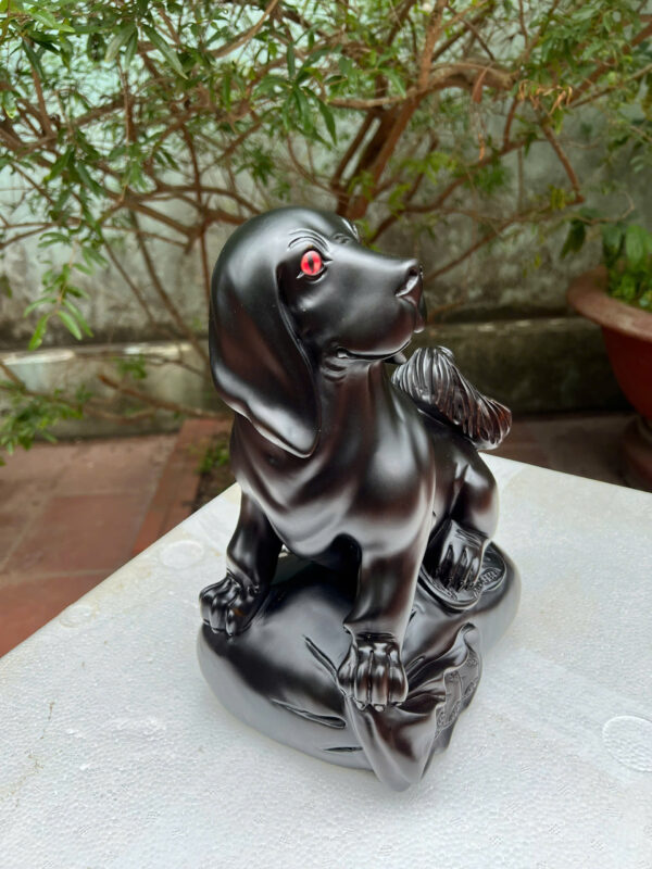 Cún ngồi bao tiền - Hình ảnh 3