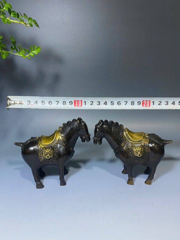 CẶP NGỰA  ĐỒNG - Hình ảnh 7