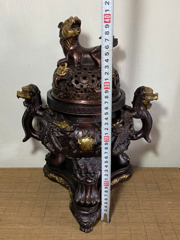 ĐỈNH ĐỒNG CỬU LONG - Hình ảnh 8