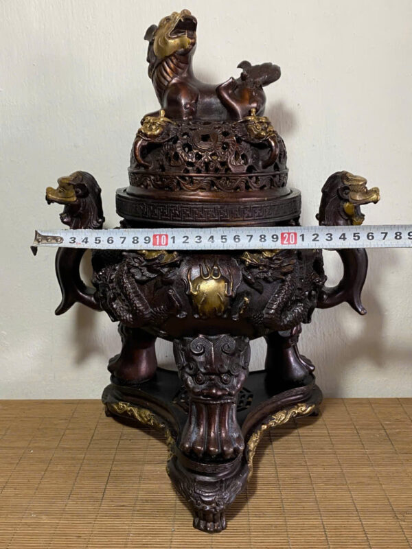 ĐỈNH ĐỒNG CỬU LONG - Hình ảnh 9