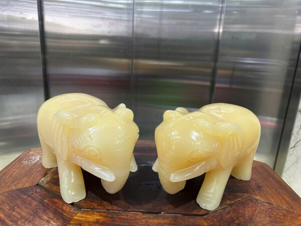 Cặp voi ngọc hoàng long