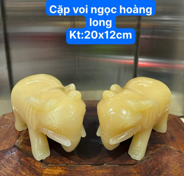Cặp voi ngọc hoàng long - Hình ảnh 5