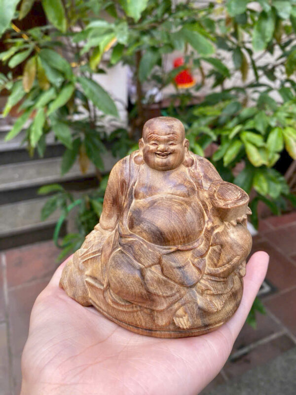 Cụ đẹp Gỗ bách xanh mộc châu