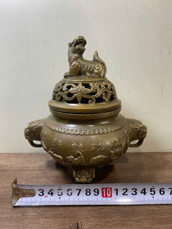 LƯ  TRẦM  12  CON  GI-ÁP - Hình ảnh 4