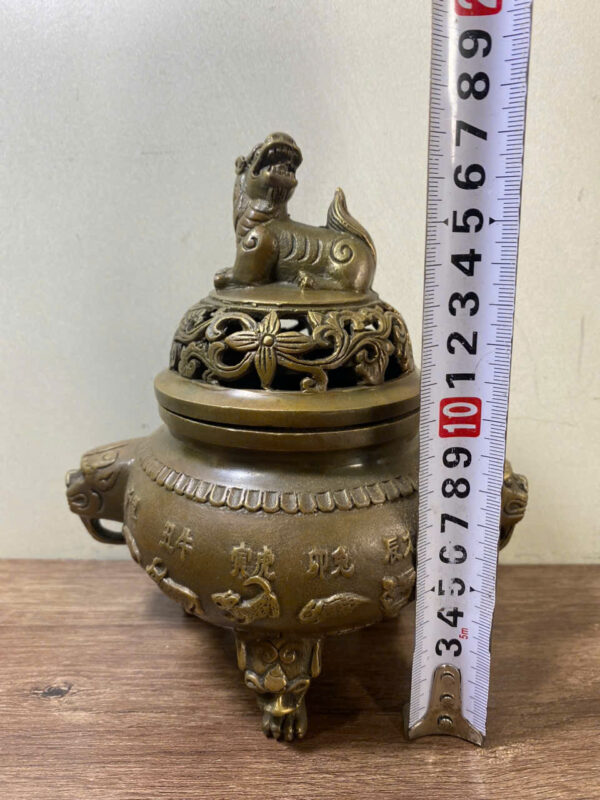 LƯ  TRẦM  12  CON  GI-ÁP - Hình ảnh 5