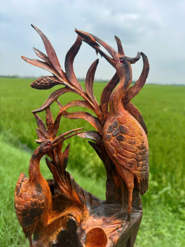 Cò uyên ương - Hình ảnh 2